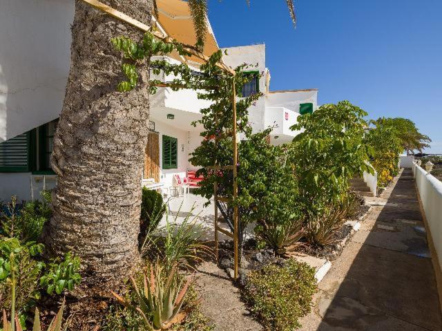 Apartamento Nire Lula En La Misma Playa Cotillo Extérieur photo